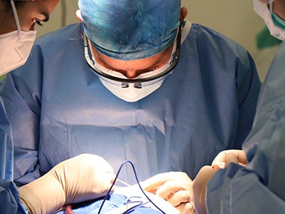 Maxillofacial Reconstructive Surgery Hands-on Cadaveric
