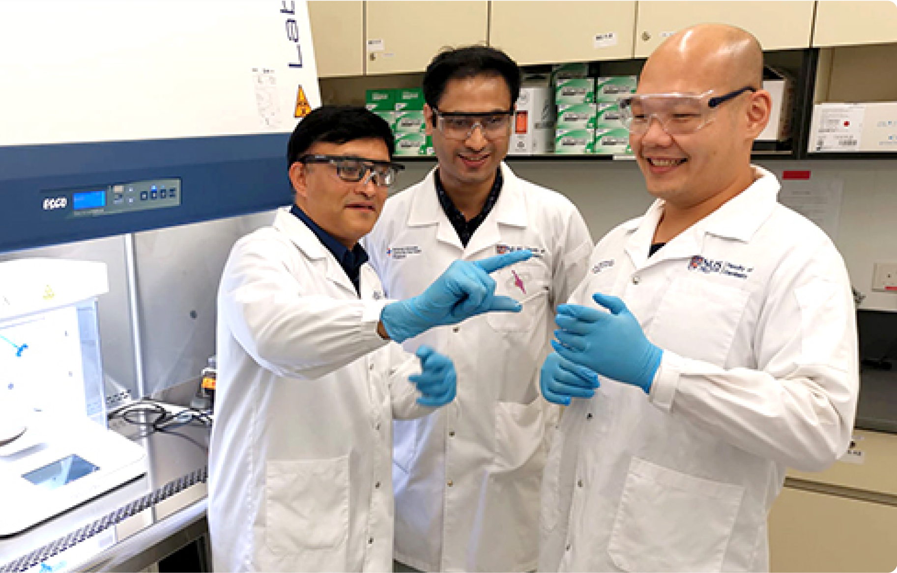 Microfluidic Tooth-on-a-Chip: Understanding the Effect of Dental Materials on Dental Pulp