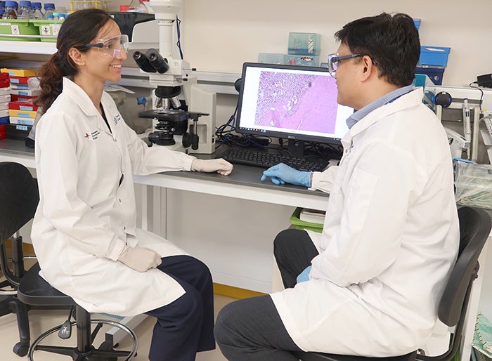 Unravelling Pulpal Health in Baby Teeth: A Step towards Better Dental Care for Children